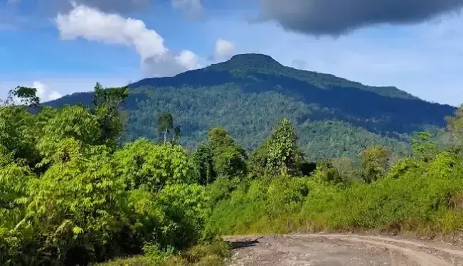 Gambar yang menunjukkan lokasi Bentang Alam Gunung Beratus di Nusantara