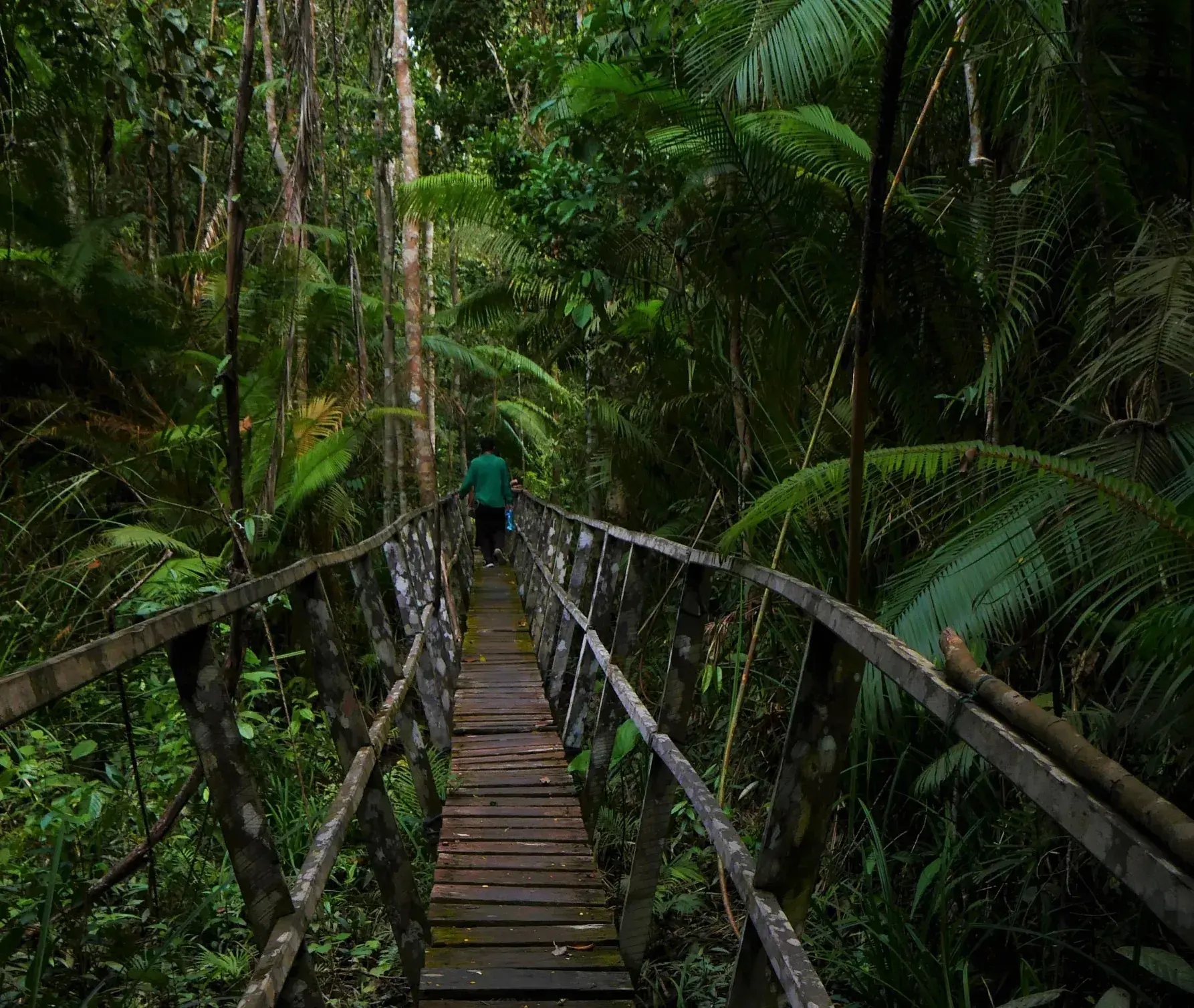 Image showing the Hutan Lindung Sungai Wain location in Nusantara